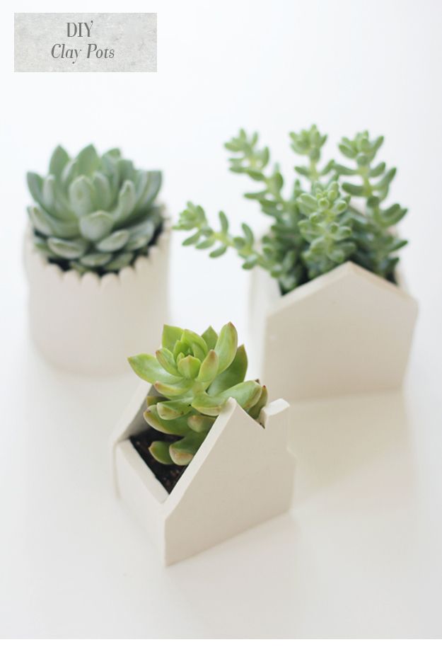 c24a3efae34beb44c7773bee1b3bbcff