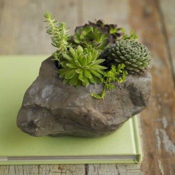 ca27e32d225fd3c11d24645b30d97fda