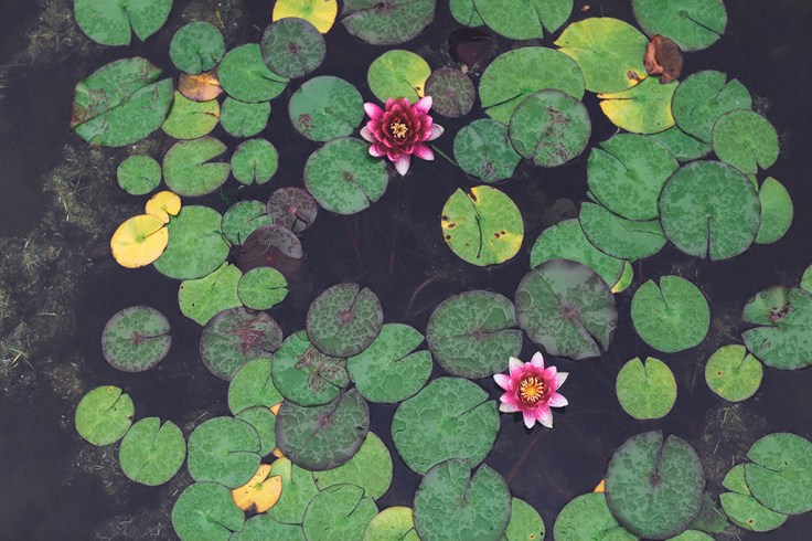 David-Fernández-41