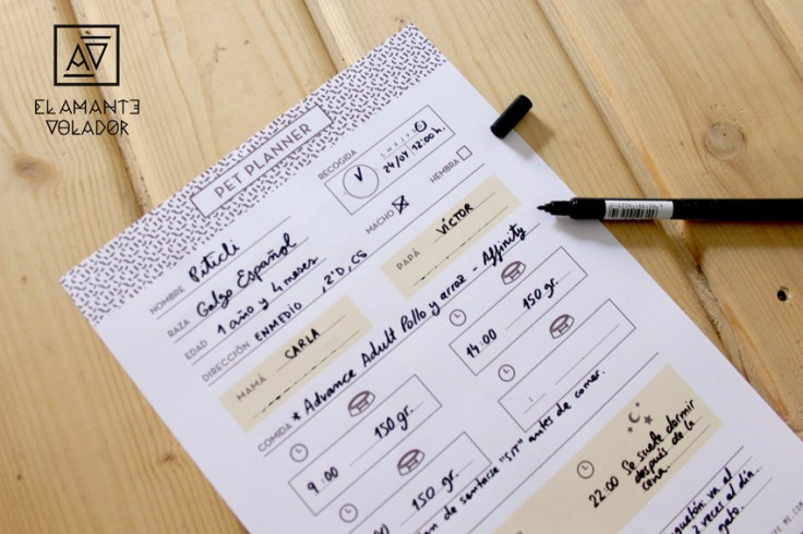 PetPlanner2_ELAMANTEVOLADOR